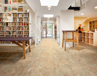 [1001111110] Marmoleum Vivace